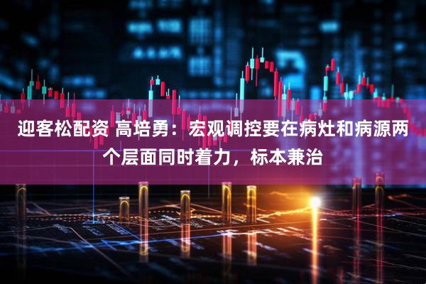 迎客松配资 高培勇：宏观调控要在病灶和病源两个层面同时着力，标本兼治