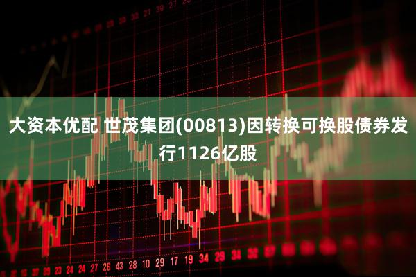 大资本优配 世茂集团(00813)因转换可换股债券发行1126亿股